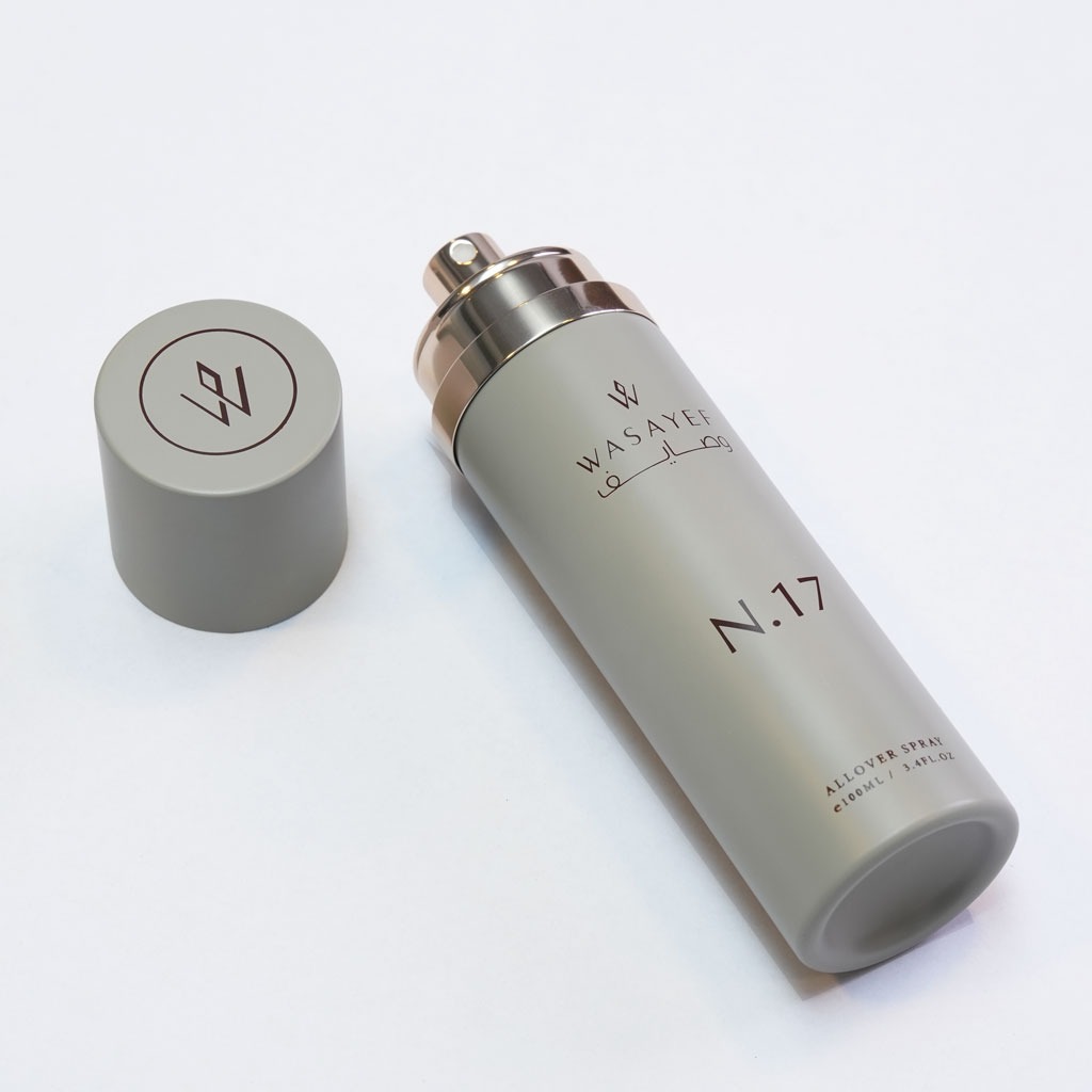 17 All Over Spray 100ml مرش ١٧ - ١٠٠مل